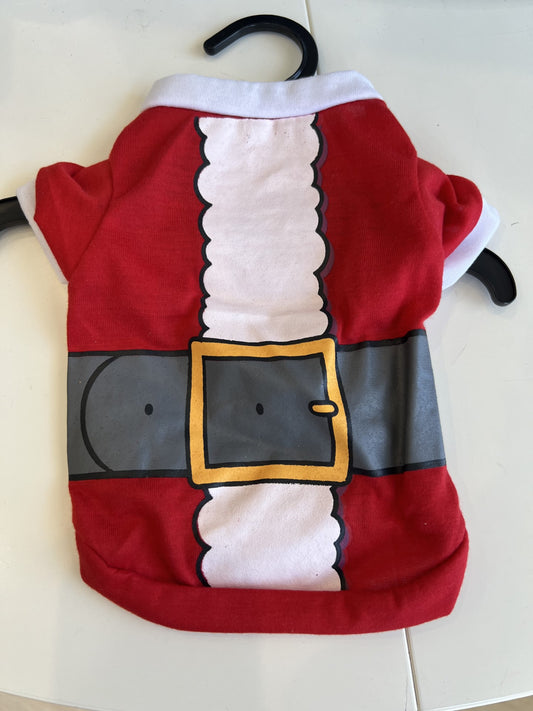 Dog - Chirstmas Outfit