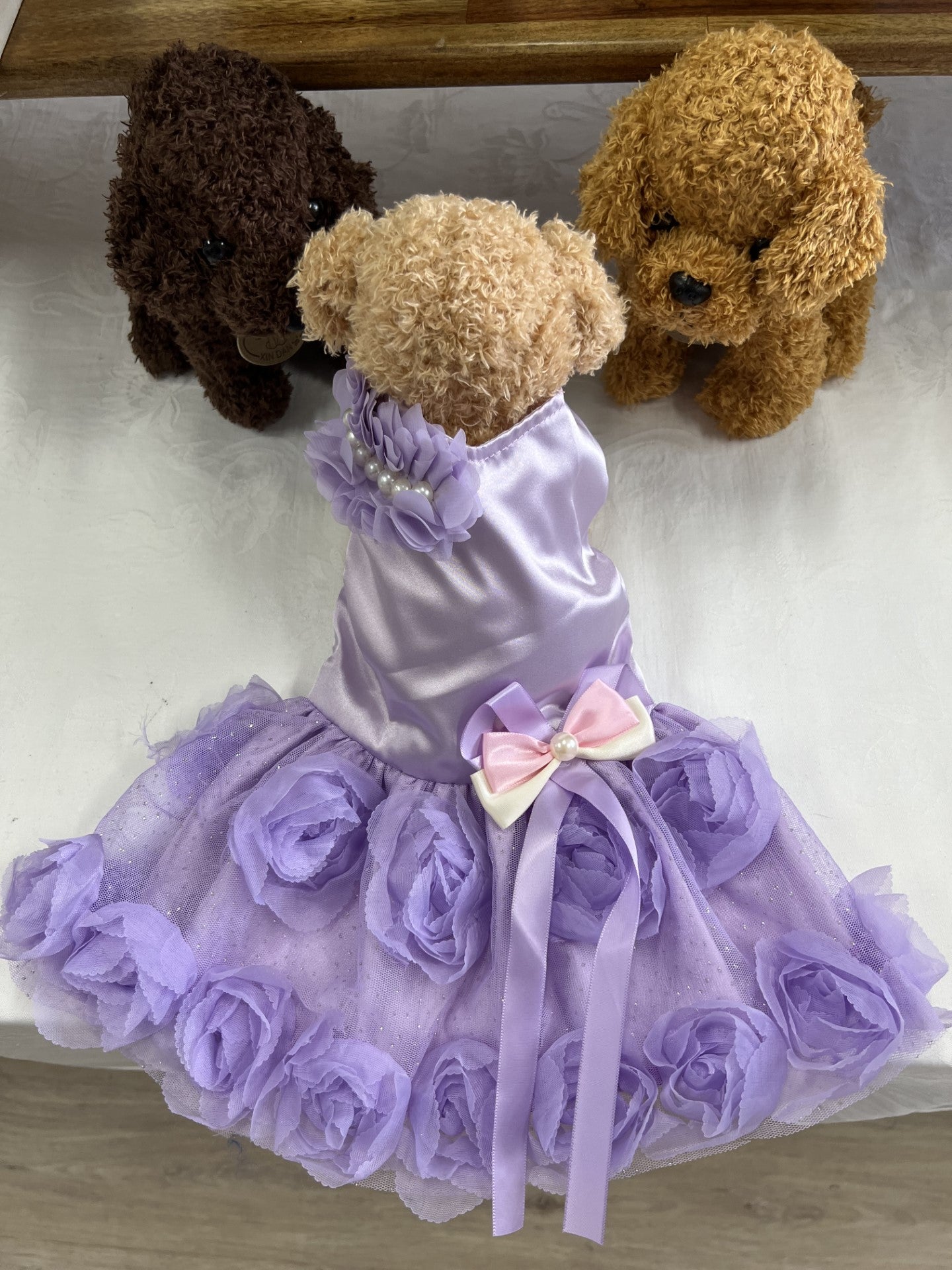 Dog - Cocktail-Wedding-Special Occasion Dress