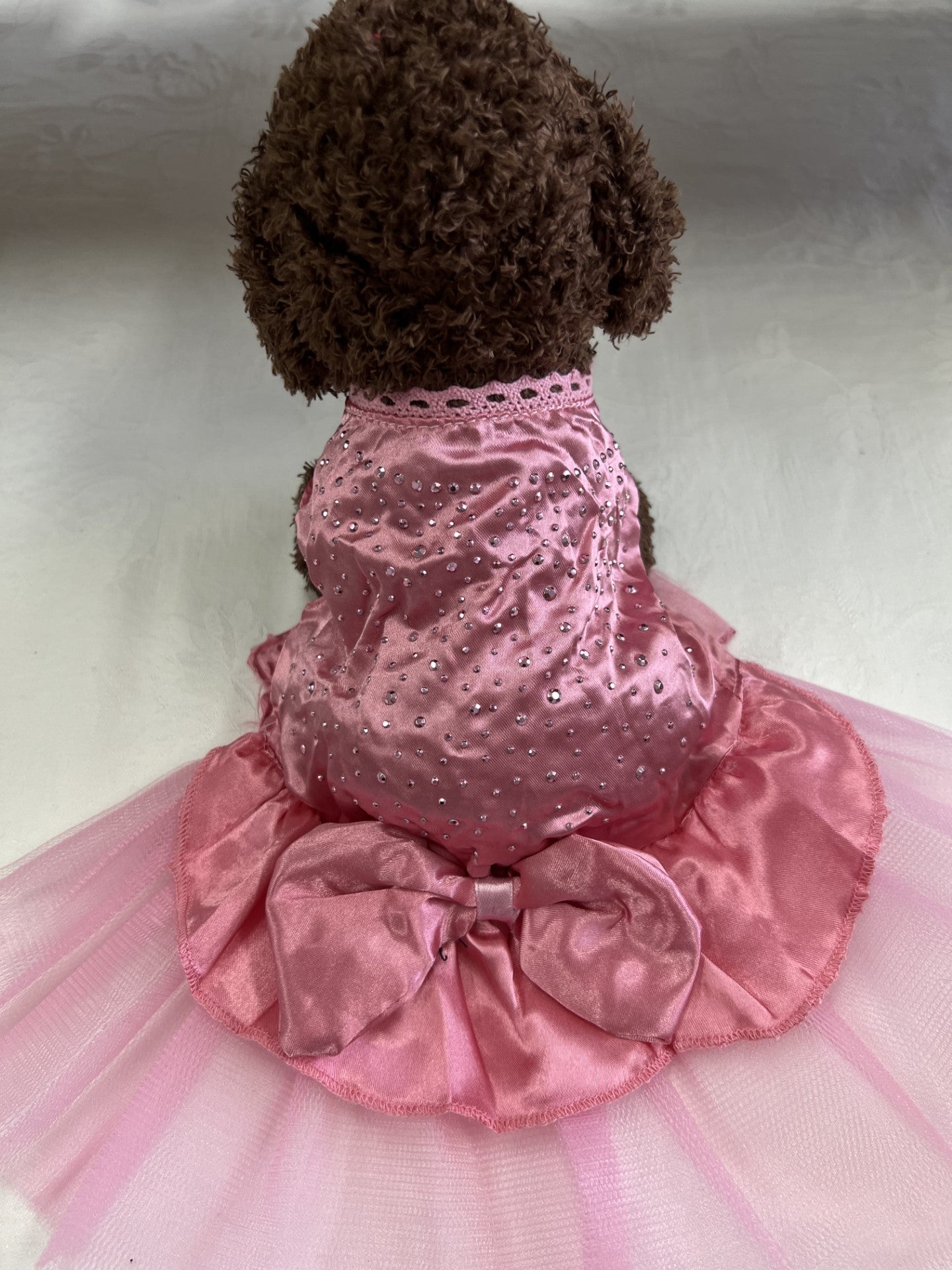 Dog - Cocktail-Wedding-Special Occasion Dress