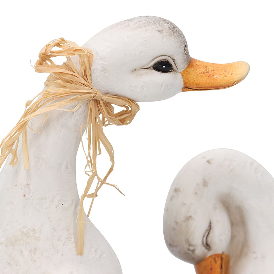 Set of 2 Ducks