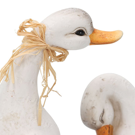 Set of 2 Ducks