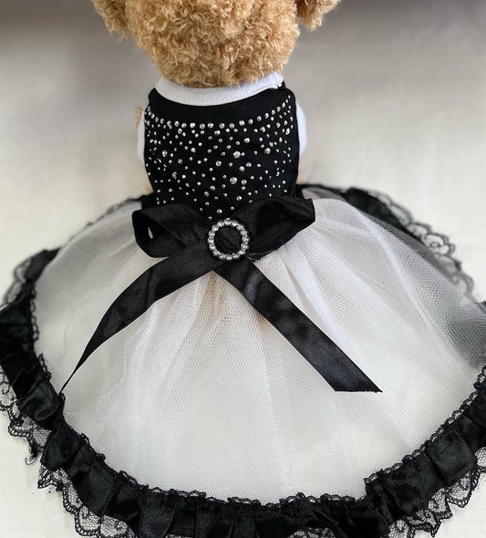 Dog - Cocktail-Wedding-Special Occasion Dress